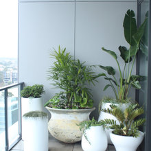 Outdoor-Garden