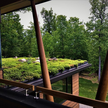 Piney Mountain Home