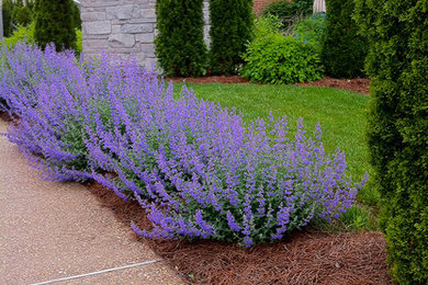 Design ideas for a landscaping in Other.