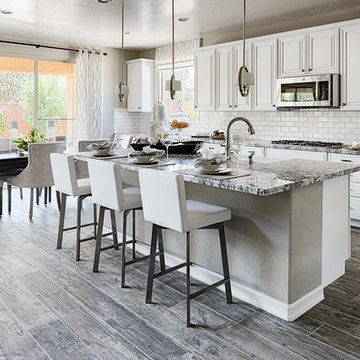 Desiree model home in Las Vegas