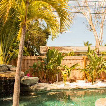 Tropical Design & Installation - South St. Petersburg