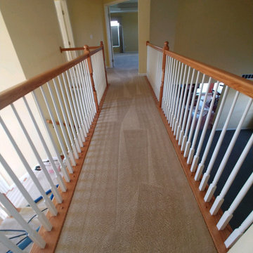Carpet Cleaning in South Lyon, MI