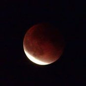 Foto von Gerardo Wilkins