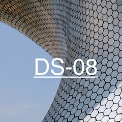 DS-08