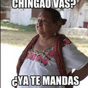 Lupe Vallin-Marquez's photo