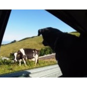 Casey Hartnett's photo