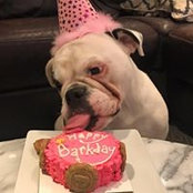 Liz Soehn's photo
