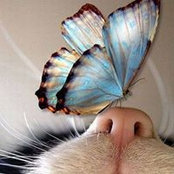 Kim Steindl- Reaber's photo