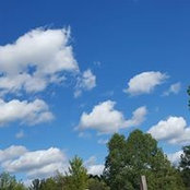 Amy Bowers Mueller's photo