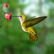 Doris Edwards's photo