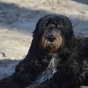 Sylvain Dufourneaud's photo
