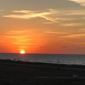 Ann Braswell's photo