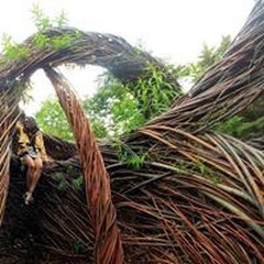 Teak Studio Design