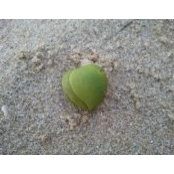 Beatrix Hart's photo
