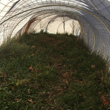 Outdoor Classroom