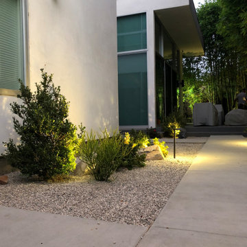 Drought Tolerant Garden