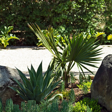 New 1-Year-Old Garden