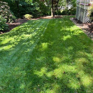 Landscaping