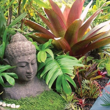 Balinese Sub tropical Garden