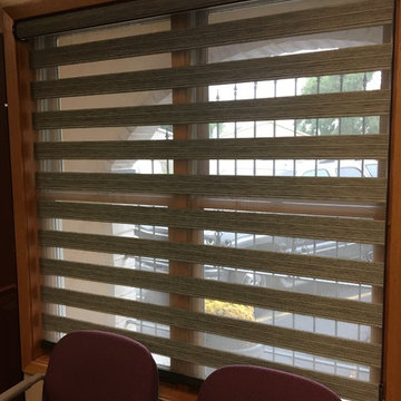 Allure Transitional Shades