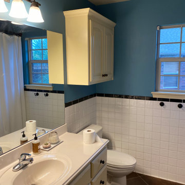 Bathroom Remodel