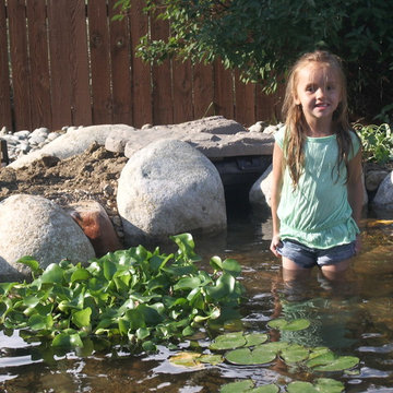 How to Spruce Up a Backyard? Add a Beautiful Pond!