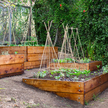 Gardening
