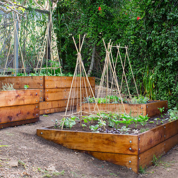 Pine House Edible Gardens