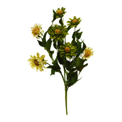 Shea's Wildflower - 17" Zinnia Bush, Cream and Green - Wreaths And Garlands