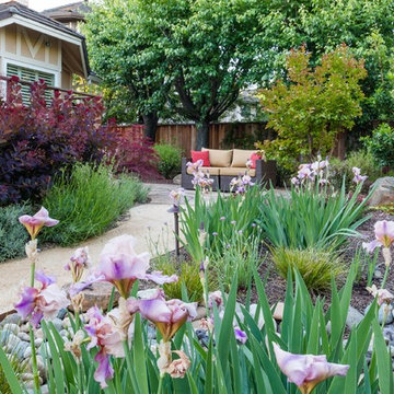 Water Wise Garden