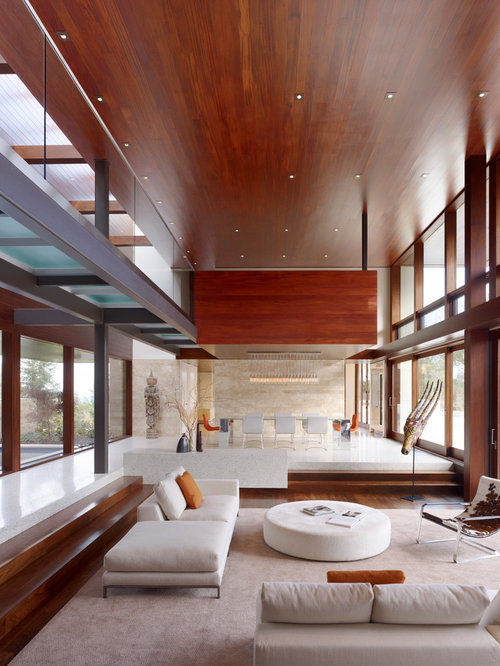 Modern Minimalist Living Room Houzz