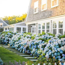 Landscape Ideas