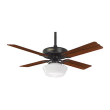 ceiling fans