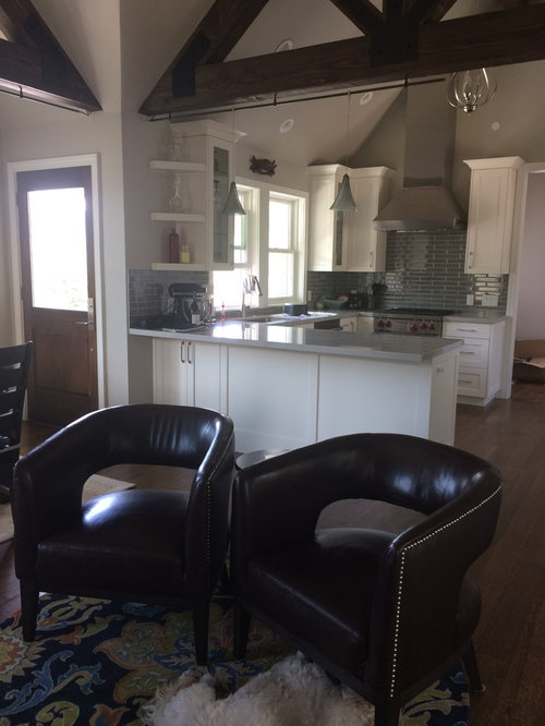 Living Room/Dining Room HELP