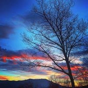 Jeni Wilmot's photo