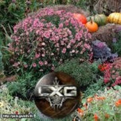 Diane Doucette's photo