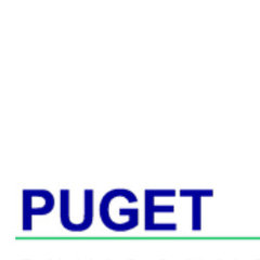 Puget Environmental P.L.L.C.