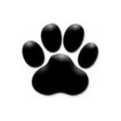 Polk Pets's photo