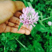 Mikayla Tomlin's photo
