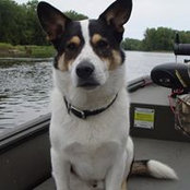 Dave Williams's photo
