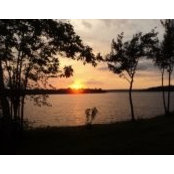 Paula Barrett's photo