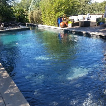 Austin Pool Projects With Unique Features