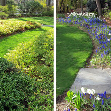 2013 Spring Growth!