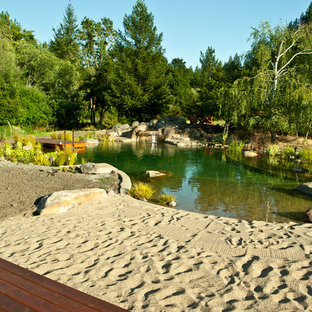 サンフランシスコの大きいオーダーメイドビーチスタイルのおしゃれなプール (砂利舗装) の写真
