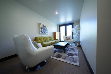 Mid-sized minimalist home design photo in Denver