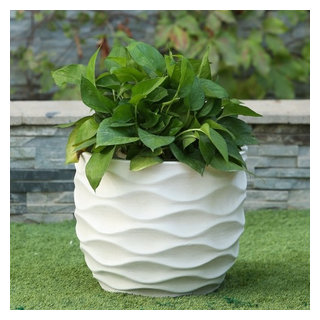 https://st.hzcdn.com/fimgs/82a153780c3f7105_3274-w320-h320-b1-p10--transitional-outdoor-pots-and-planters.jpg