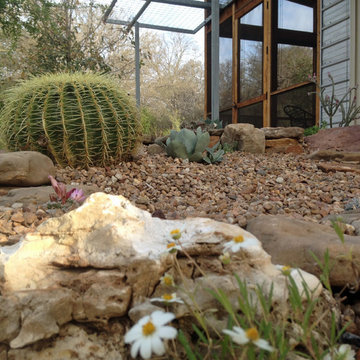 cactus & Succulent Gardens