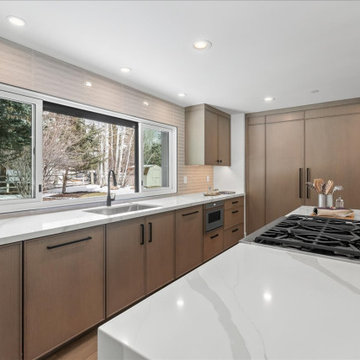 Park Meadows Remodel