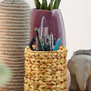 Serene Spaces Living Eco-Friendly Water Hyacinth Collection, Vases
