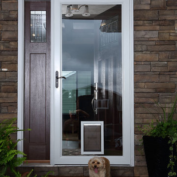 Pet Friendly Storm Doors